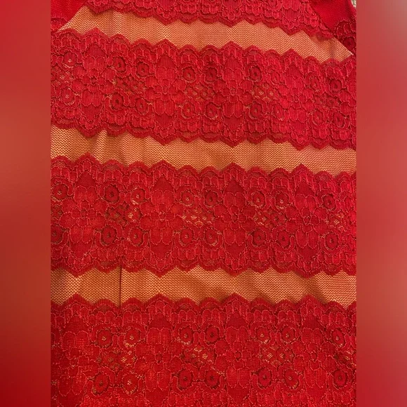 Red Lace Dress with Nude Slip - Picture 4 of 5
